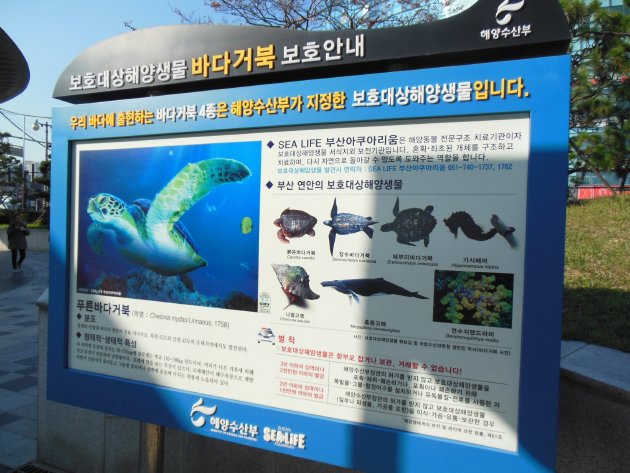 SEA LIFE釜山アクアリウムの保護対象海洋生物に関する案内